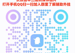 2分钟玩家科普“牵手跑胡子外挂怎么装”分享装挂技巧步骤